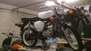 100/rayDSC_0724.jpg