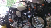 100/rayDSC_0737.jpg